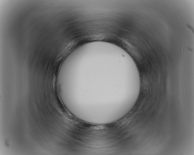 X0000098200118200804241047