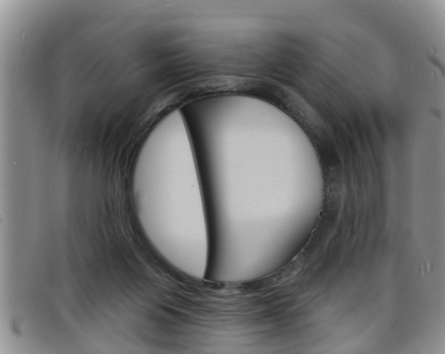 X0000098200119200804241047