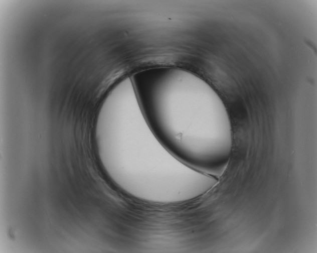 X0000098200120200804241047
