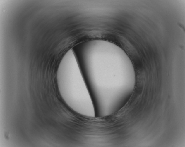 X0000098200125200804241047