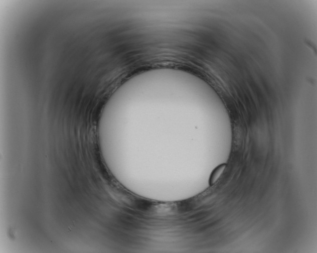 X0000098200126200804241047