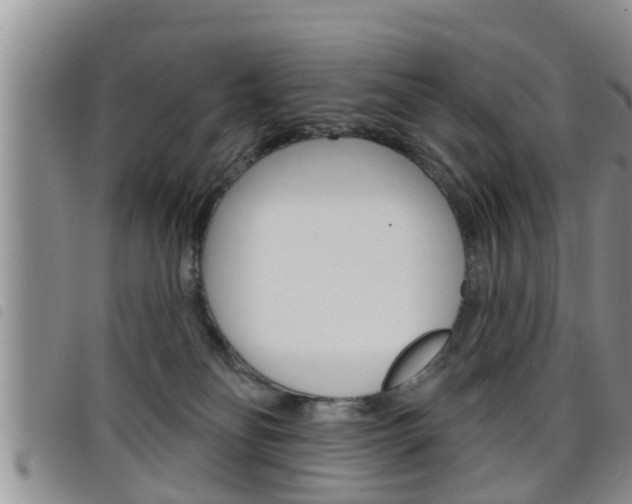 X0000098200134200804241047