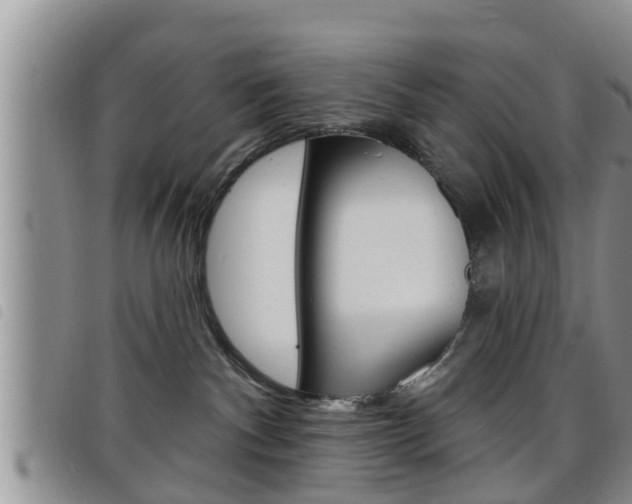 X0000098200140200804241047