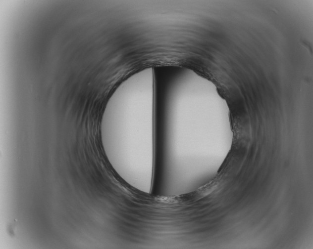 X0000098200141200804241047