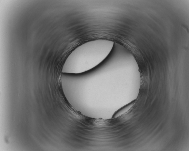 X0000098200142200804241047
