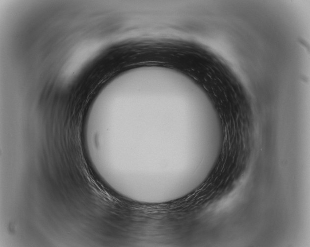 X0000098200146200804241046