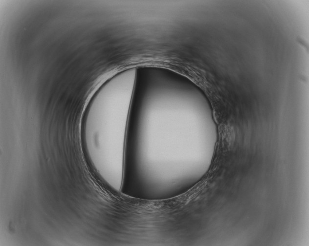 X0000098200148200804241046