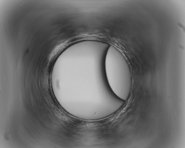X0000098200149200804241046