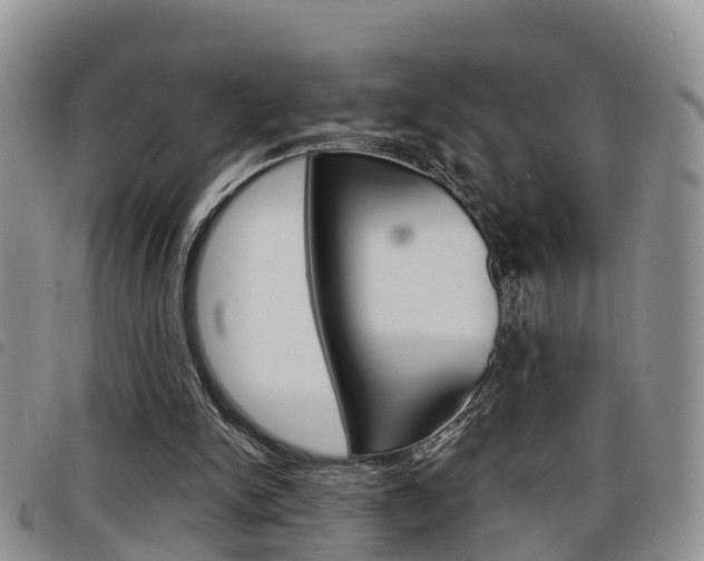 X0000098200150200804241046