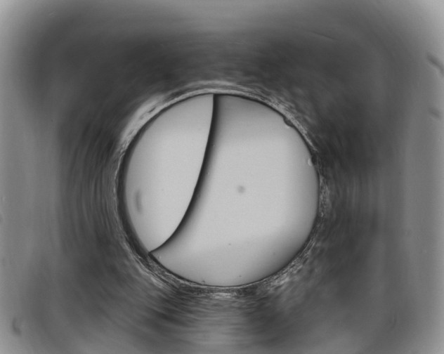 X0000098200151200804241046