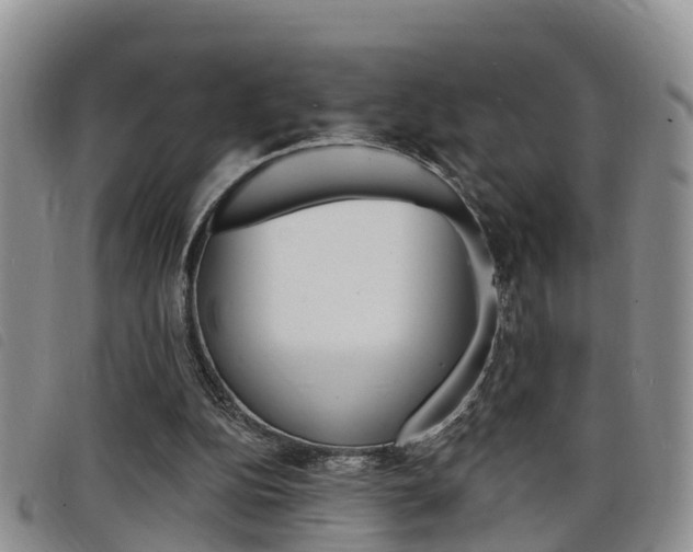 X0000098200152200804241046