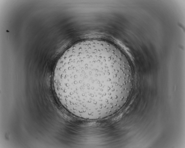 X0000098200153200804241046