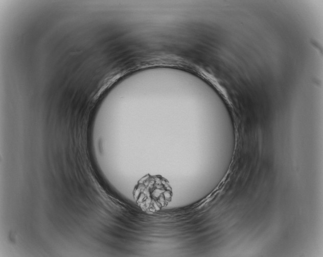 X0000098200154200804241046