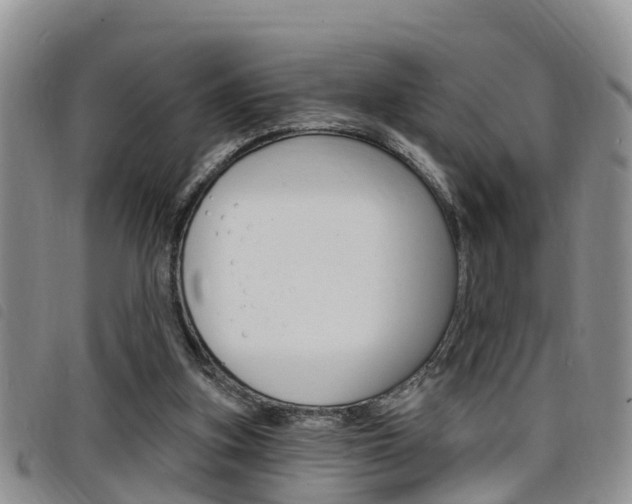 X0000098200155200804241046