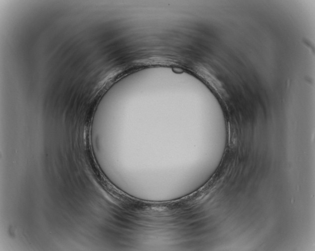 X0000098200157200804241046