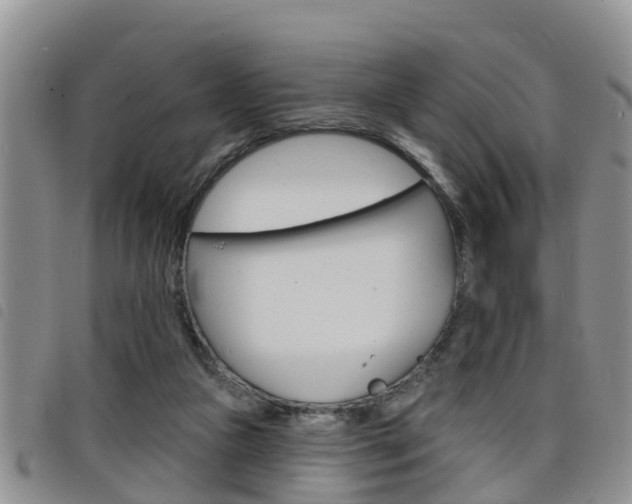 X0000098200161200804241047