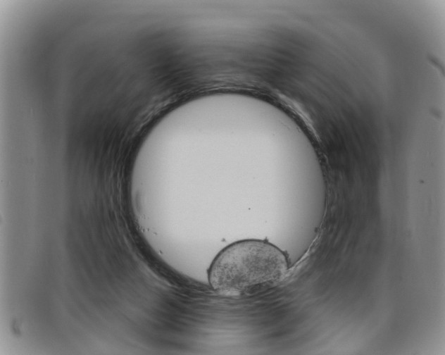 X0000098200162200804241047