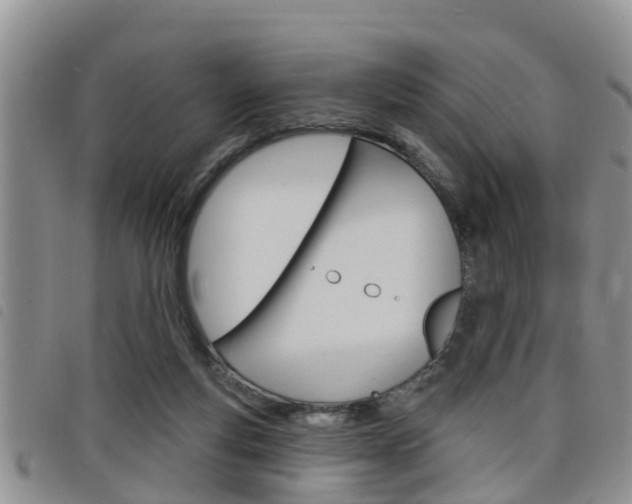 X0000098200163200804241047