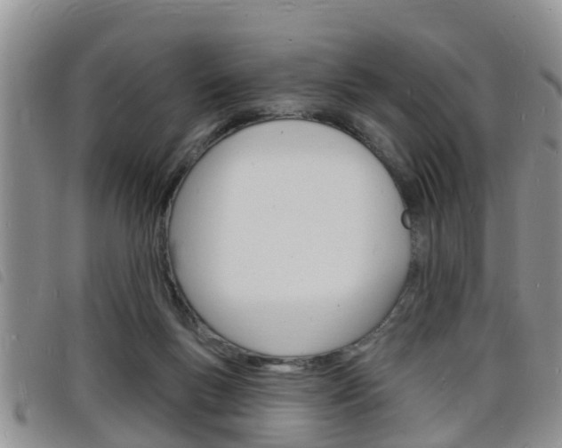 X0000098200167200804241047