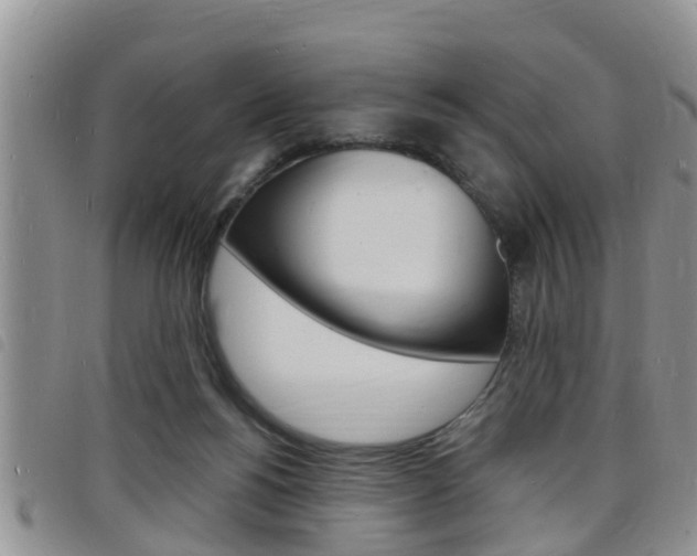X0000098200168200804241047