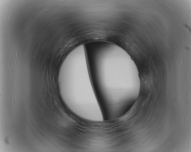 X0000098200170200804241047