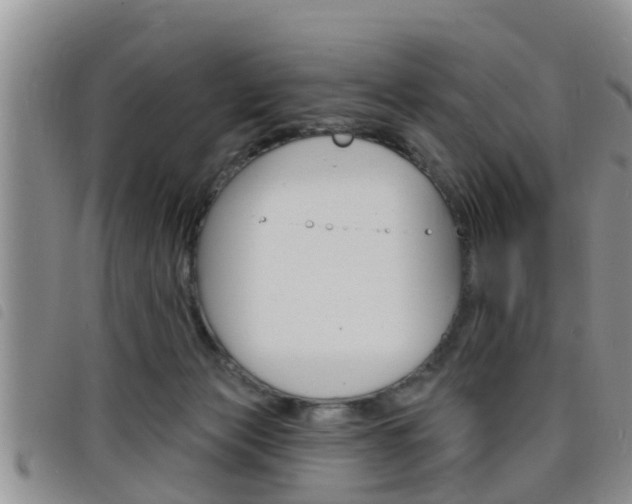 X0000098200173200804241047