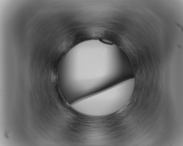 X0000098200176200804241047