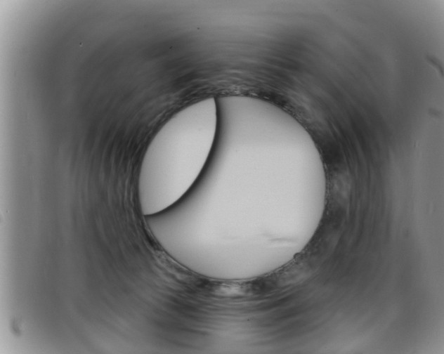 X0000098200177200804241047