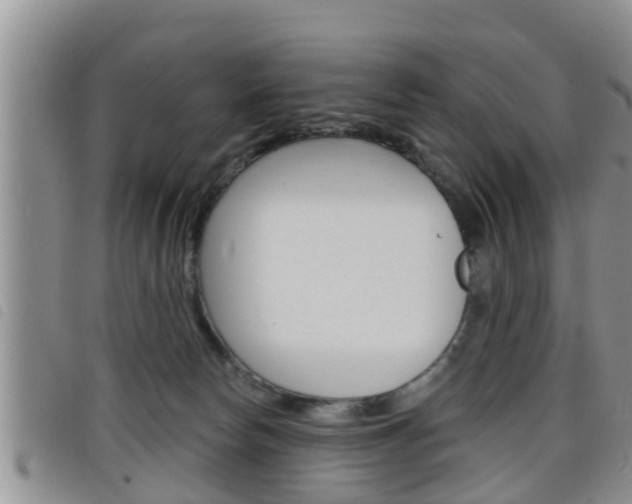 X0000098200178200804241047