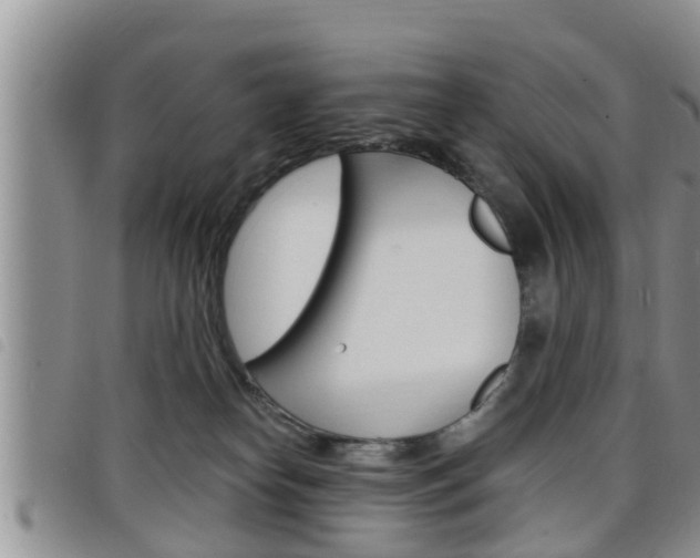 X0000098200182200804241047