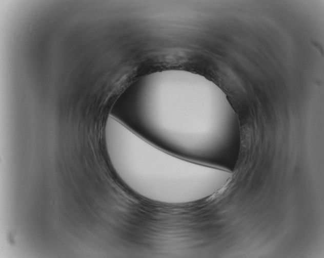 X0000098200184200804241047