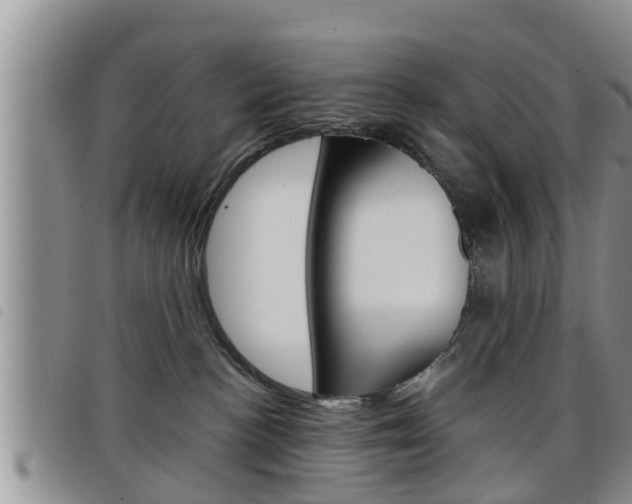 X0000098200188200804241047