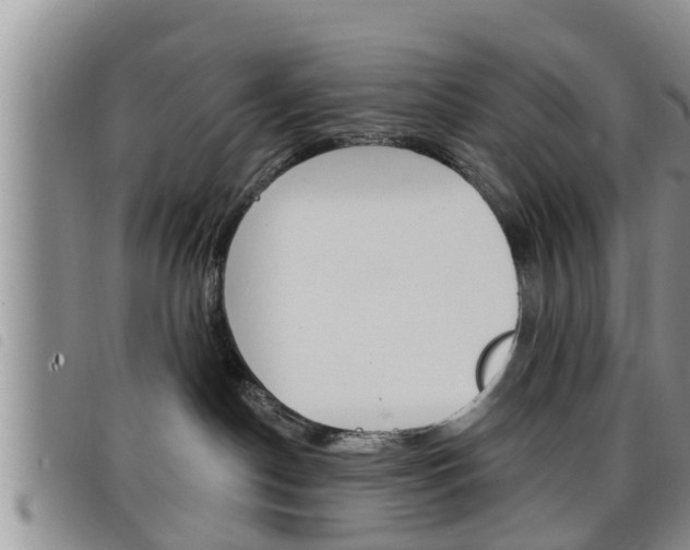 X0000098200190200804241047