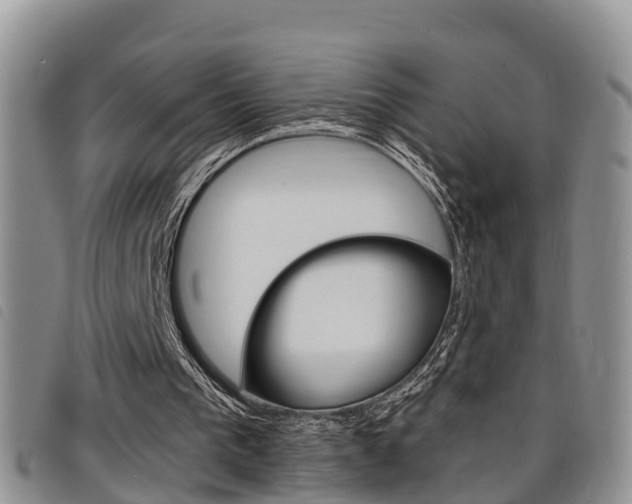 X0000098200193200804241046