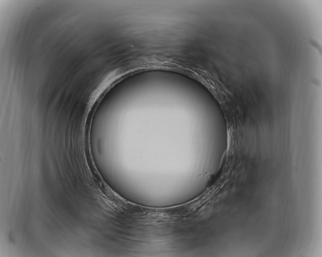 X0000098200195200804241046
