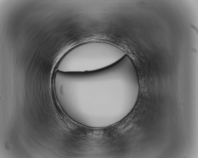 X0000098200196200804241046