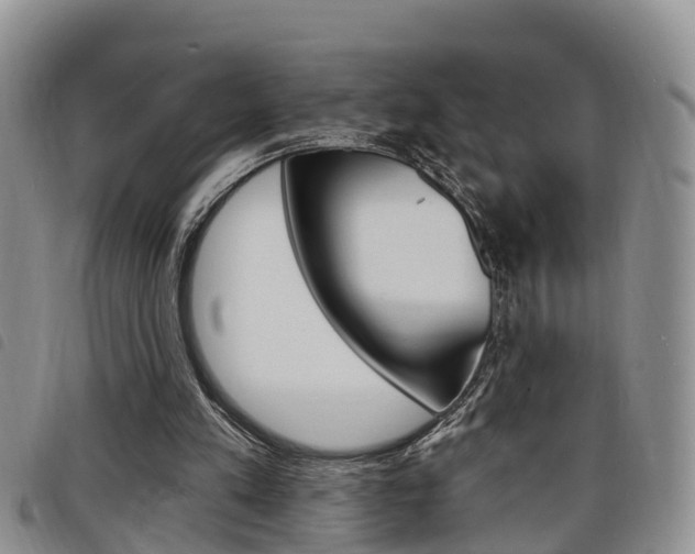 X0000098200197200804241046