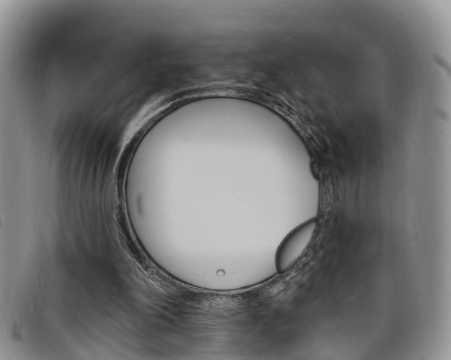 X0000098200198200804241046