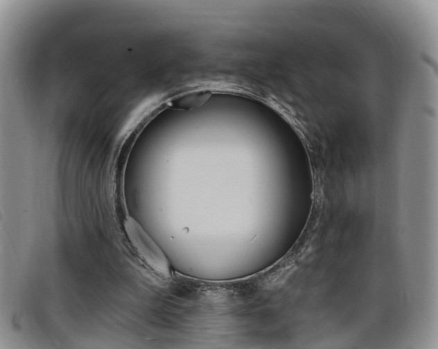 X0000098200199200804241046