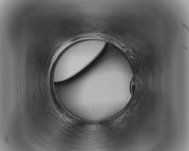 X0000098200200200804241046