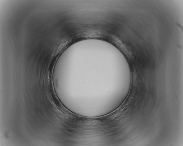 X0000098200202200804241046
