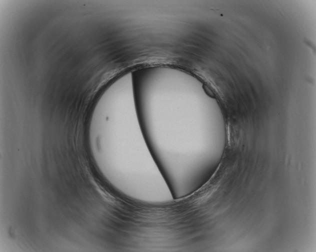 X0000098200205200804241046