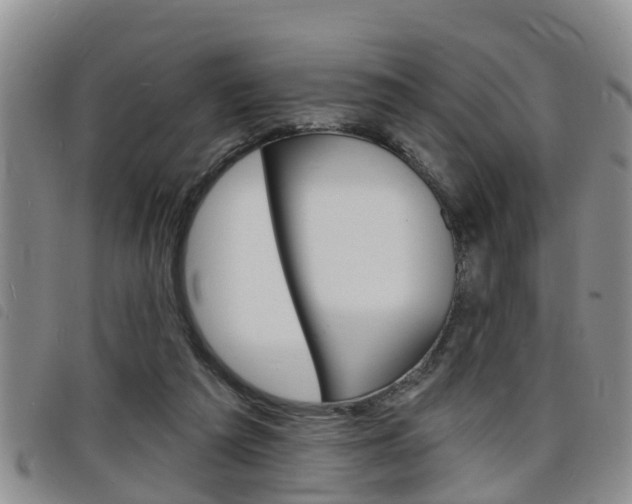 X0000098200209200804241046