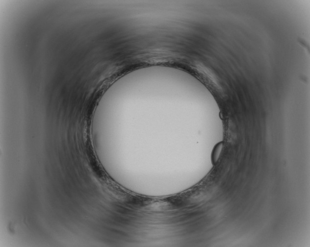 X0000098200210200804241046