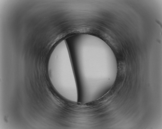 X0000098200212200804241046