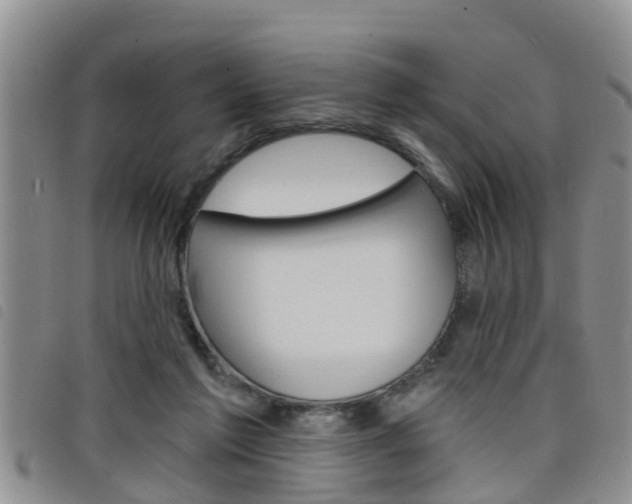 X0000098200213200804241046