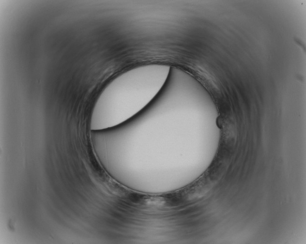 X0000098200214200804241046