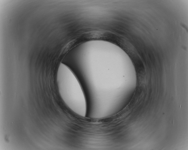 X0000098200216200804241046