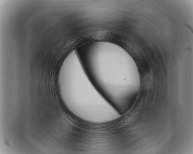 X0000098200217200804241046