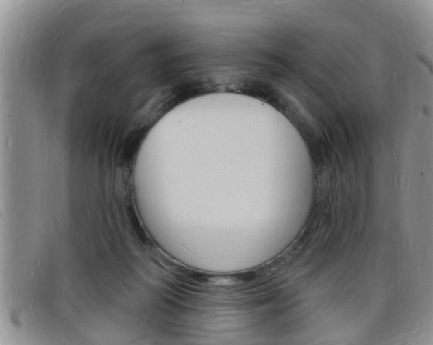 X0000098200218200804241046